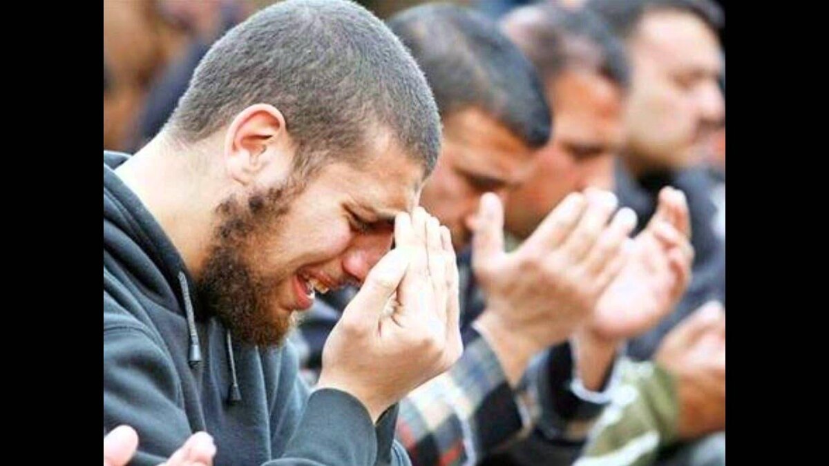 Из открытыз источников интернета