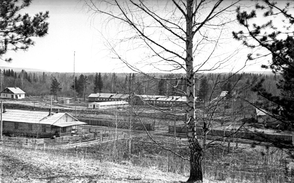 Фото: Фотолетопись ИФ СО РАН