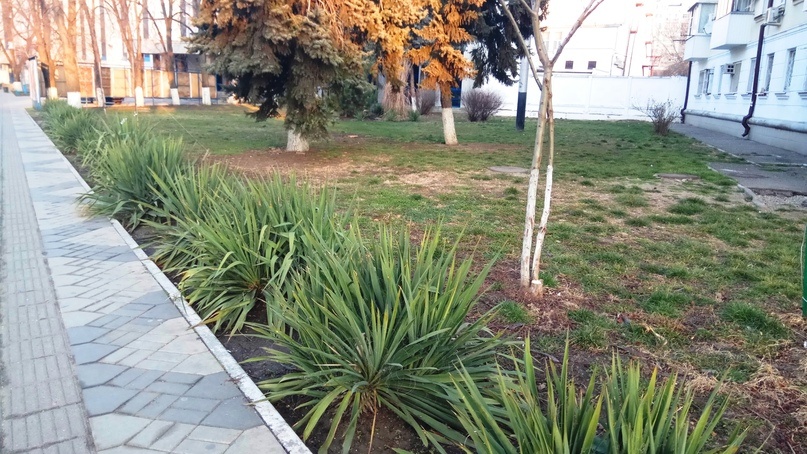 Весна в Краснодаре