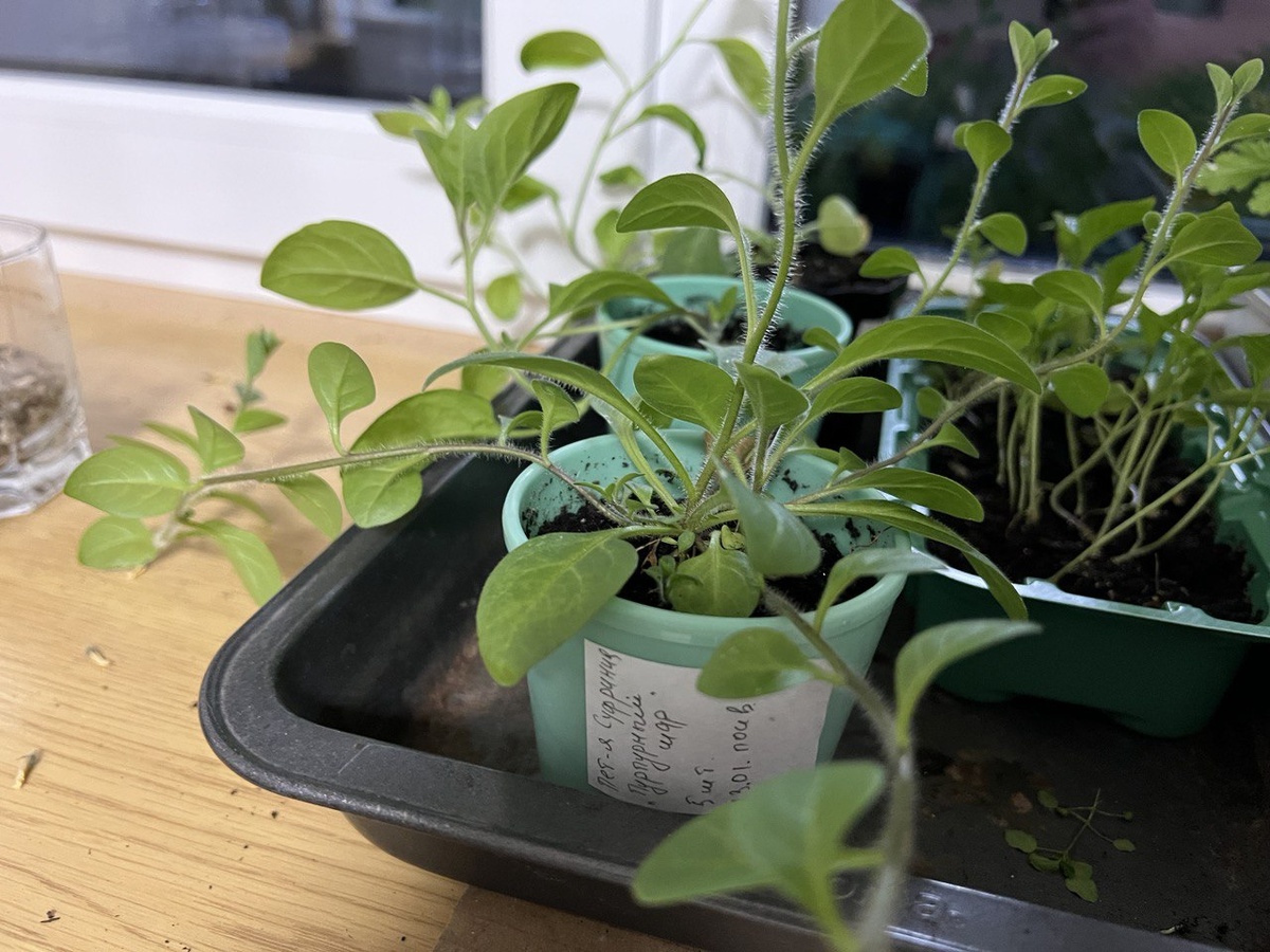 Фото из личного архива