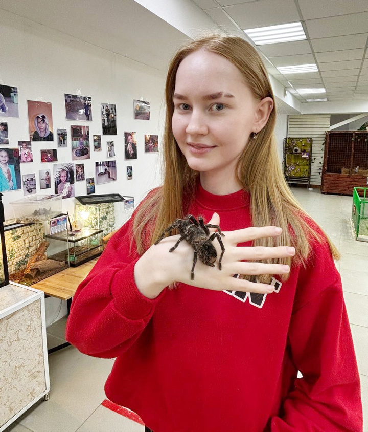 Без страха в глазах, с дрожащими руками получилась почти модельное фото лошадиного паука