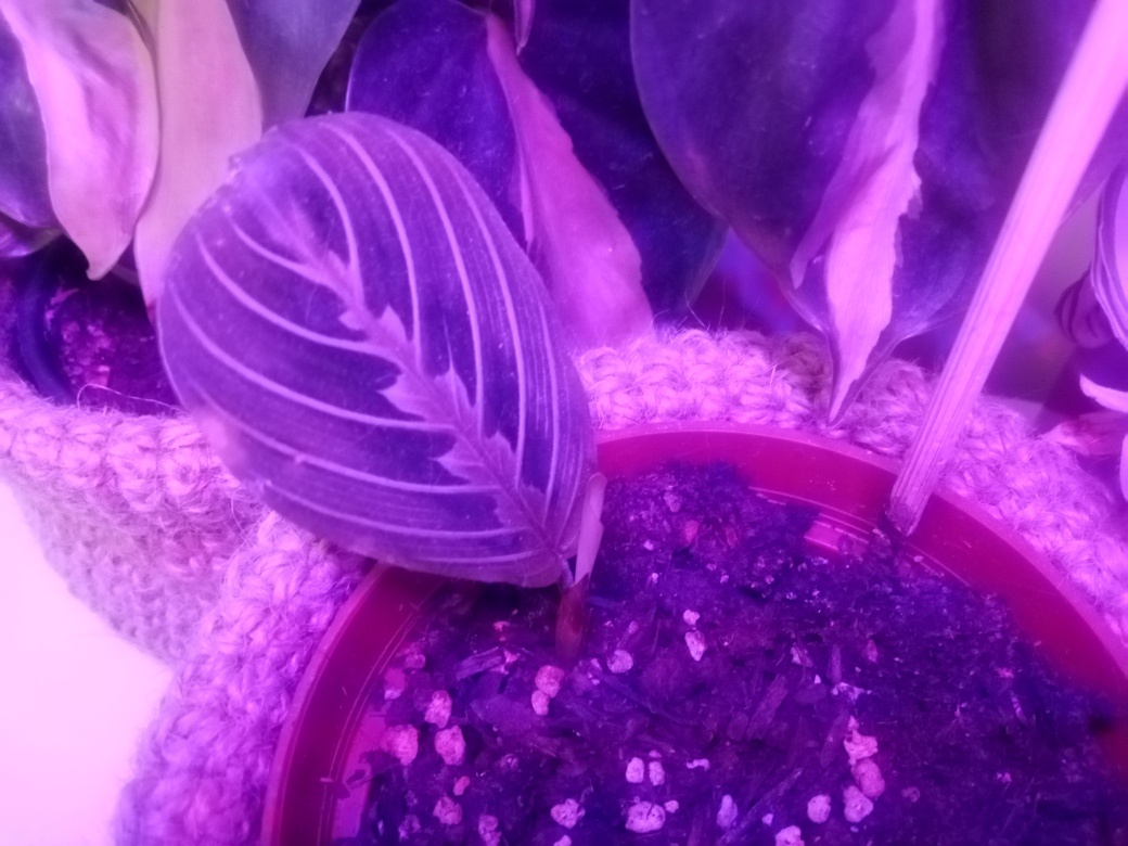 Время первых. Фото автора