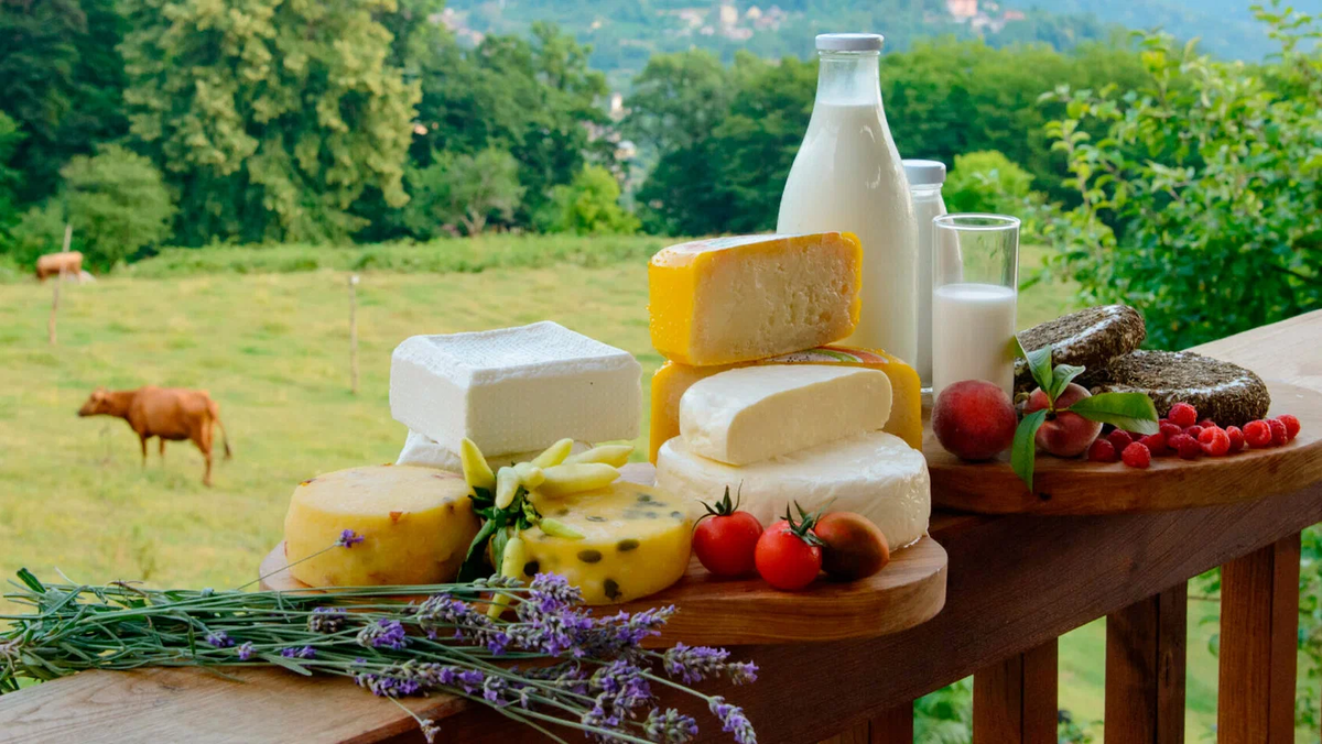 Продукты фото Яндекс