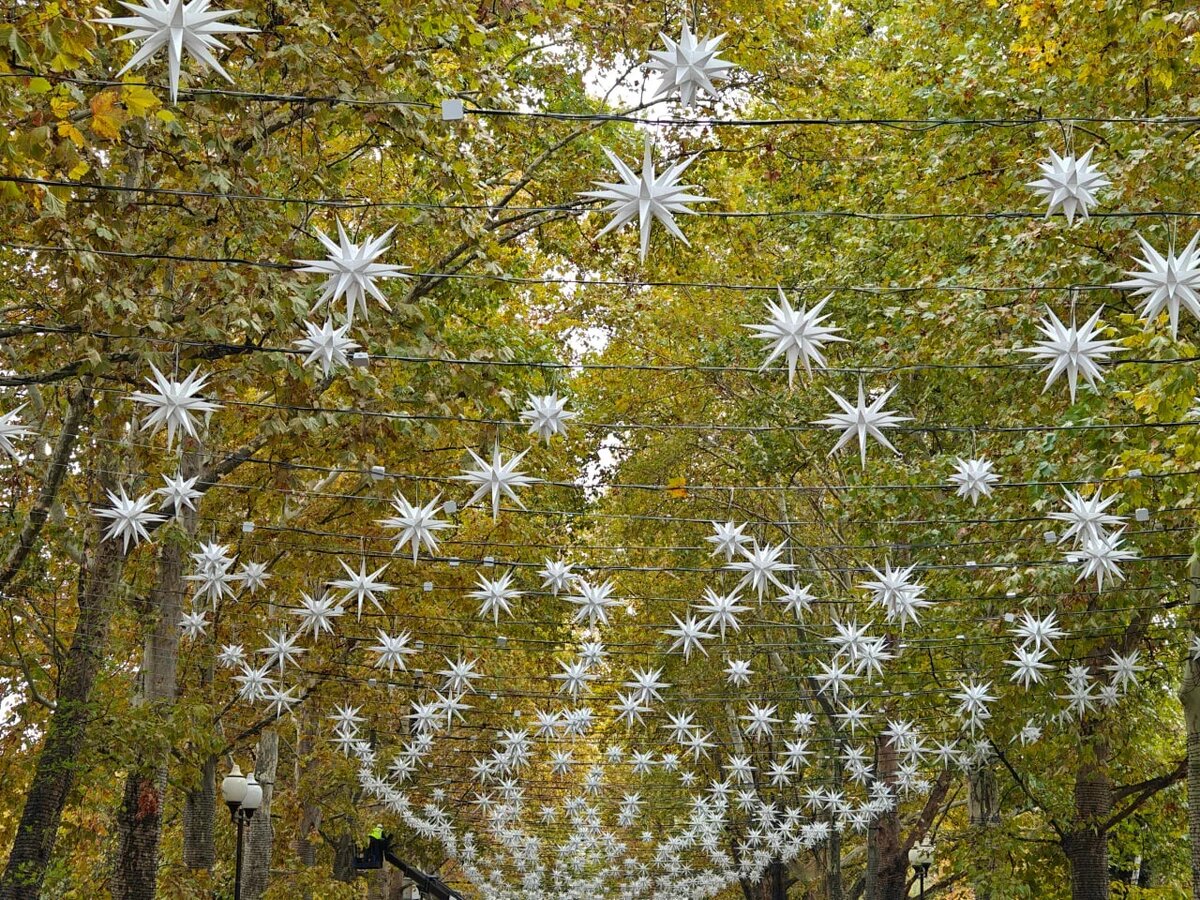    Фото: Юрий Серебренников/BFM Кубань