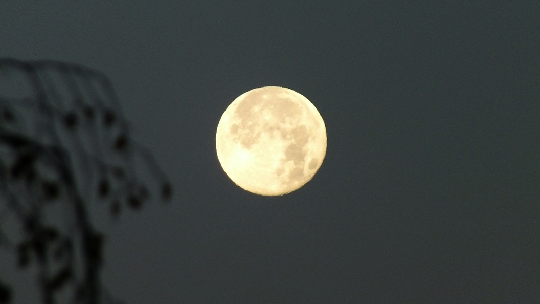    Victor Lisitsyn/Globallookpress