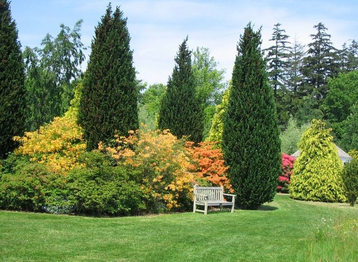 Фото:https://ru.pinterest.com/pin/358106607856436772/