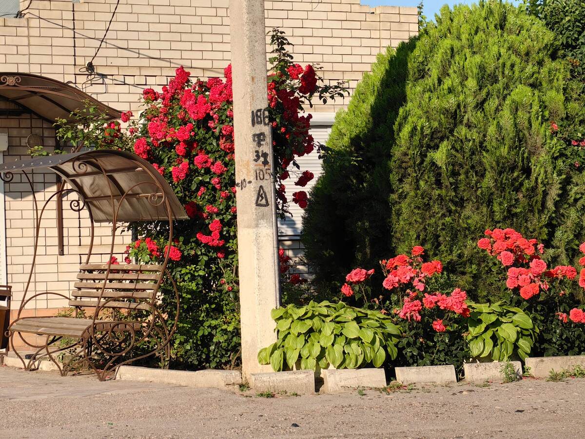 Изгородь у зоны отдыха, г. Буденновск Ставропольского края. Фото Натальи Мироновой