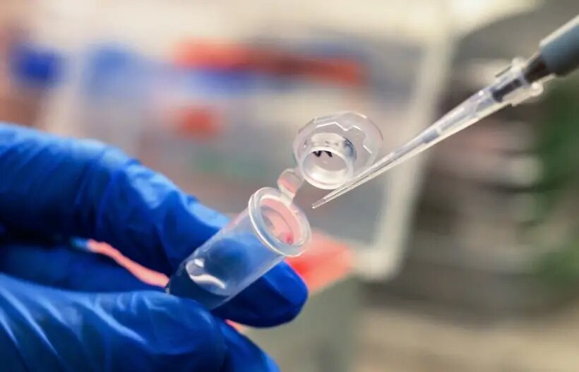     © РИА Новости. Илья Питалев