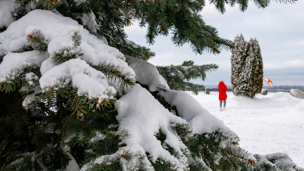    Фото: Svetlana Vozmilova/Globallookpress.