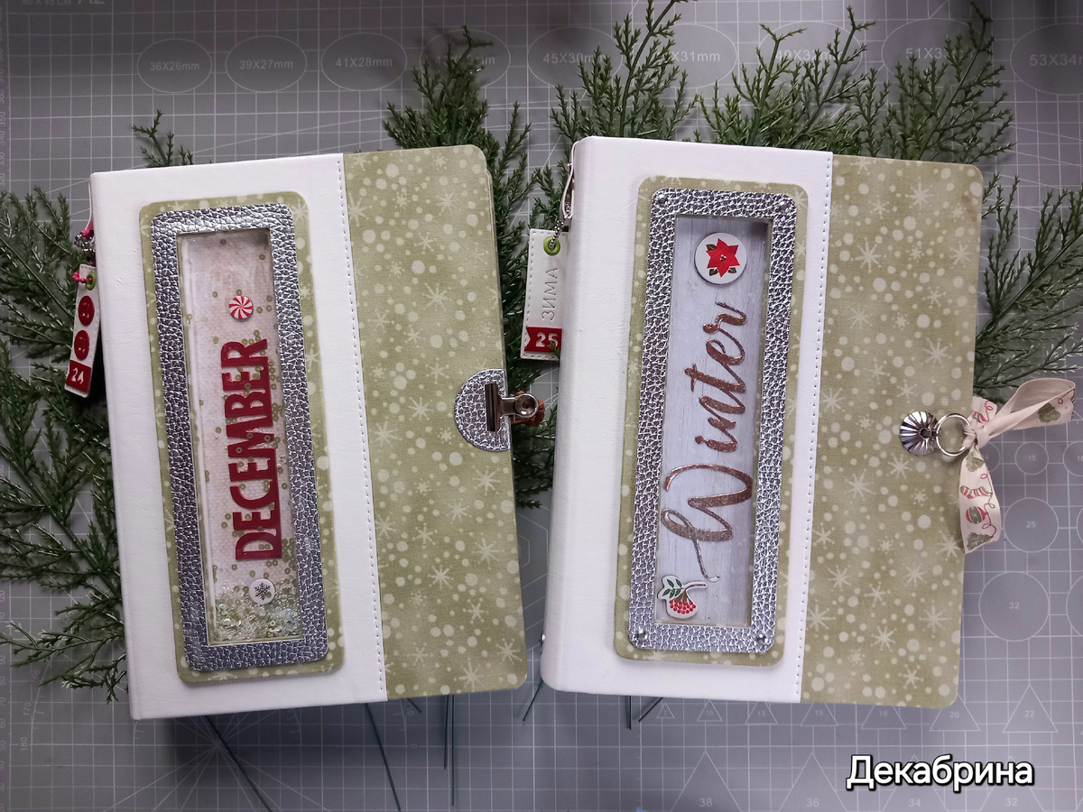 Мой ДД 2024Г и зимний Дневник 2025г 