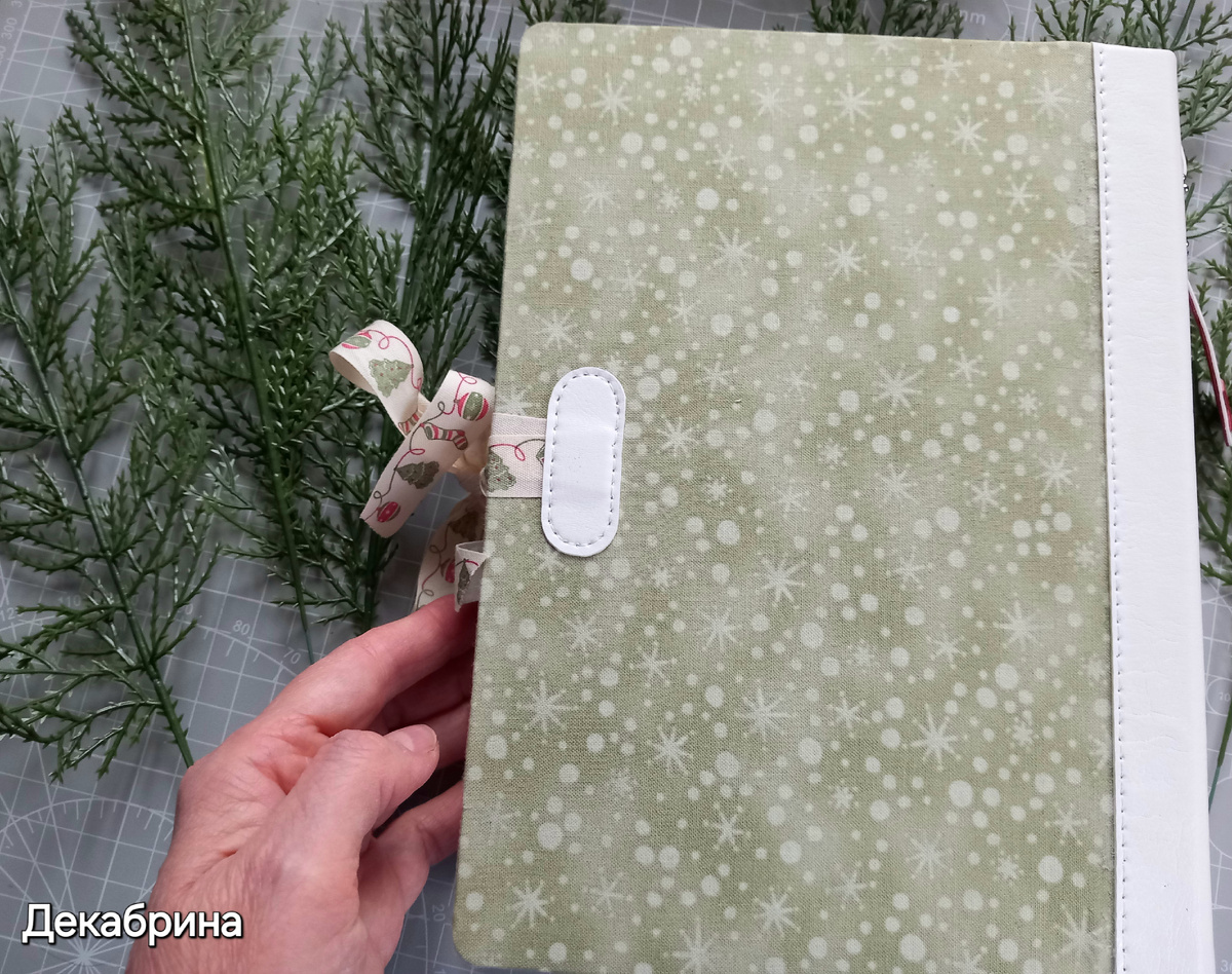 Спинка зимнего Дневничка 