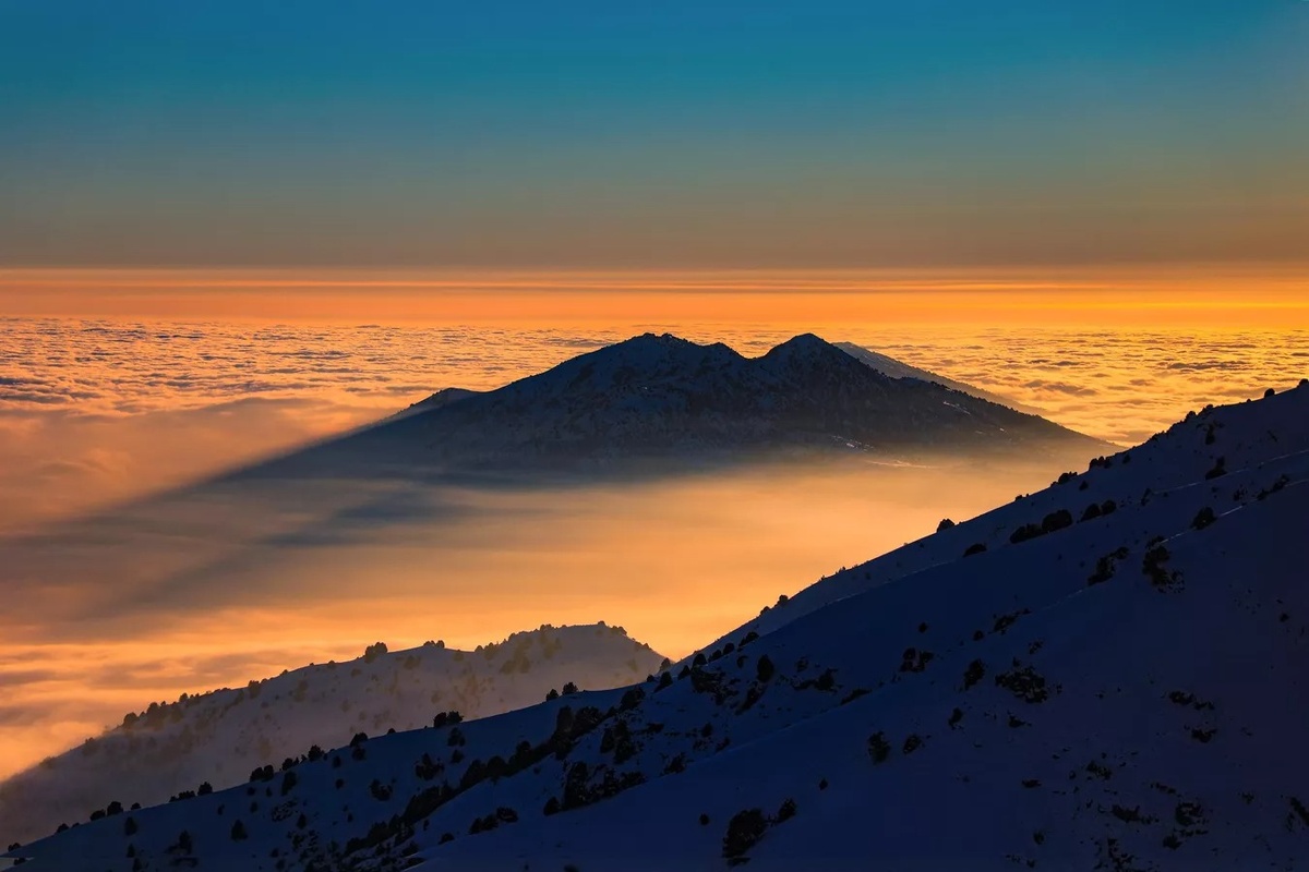 © Sputnik / Бахром Хатамов