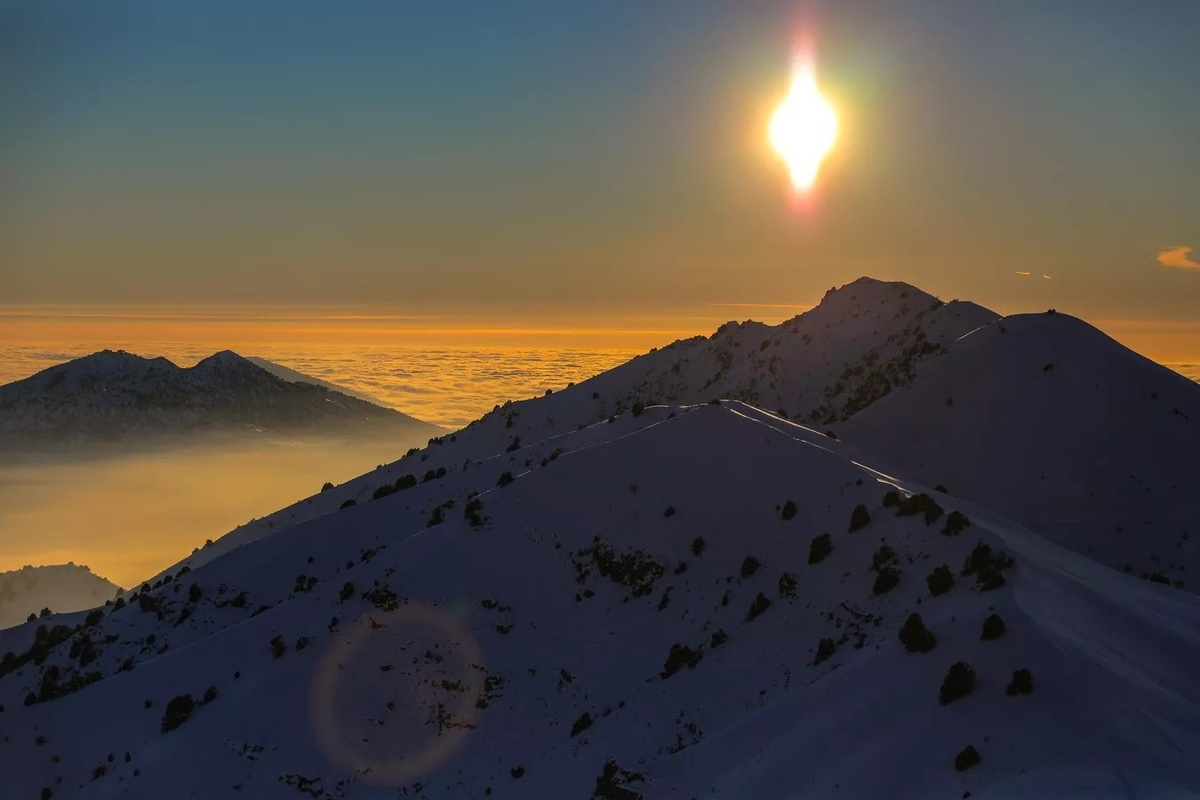 © Sputnik / Бахром Хатамов