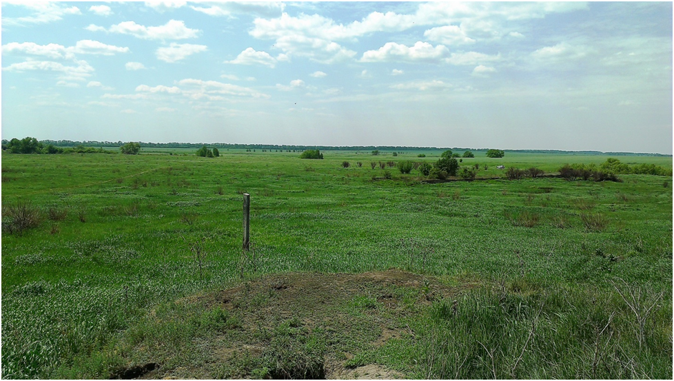 Фото из поездки на место бывшей деревни Сухая Палатовка Аткарского района Саратовской области.