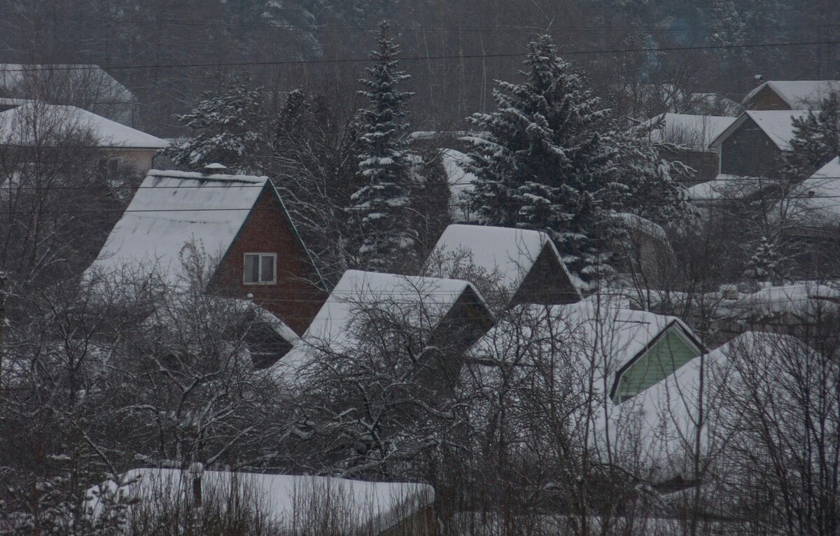 Как разбогатеть и не оглохнуть в день Петра Полукорма?