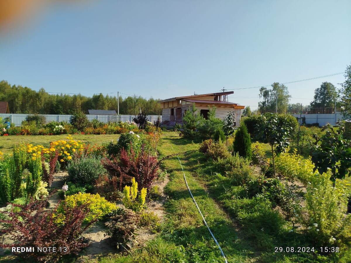 Фото моего настоящего друга. Она у нас  не частный гость, но очень жданный. Тамара Безменова, привет тебе; 