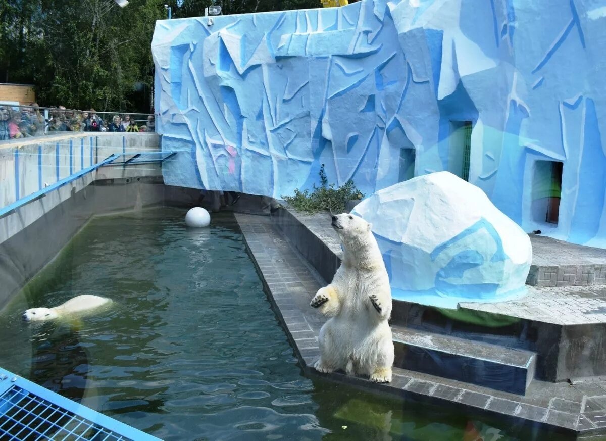 Придется платить больше. В Новосибирском зоопарке подорожали билеты
