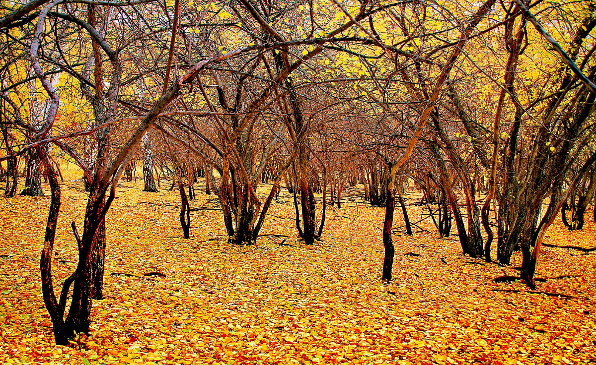 Фотография, стихотворение Василия Глуцкого