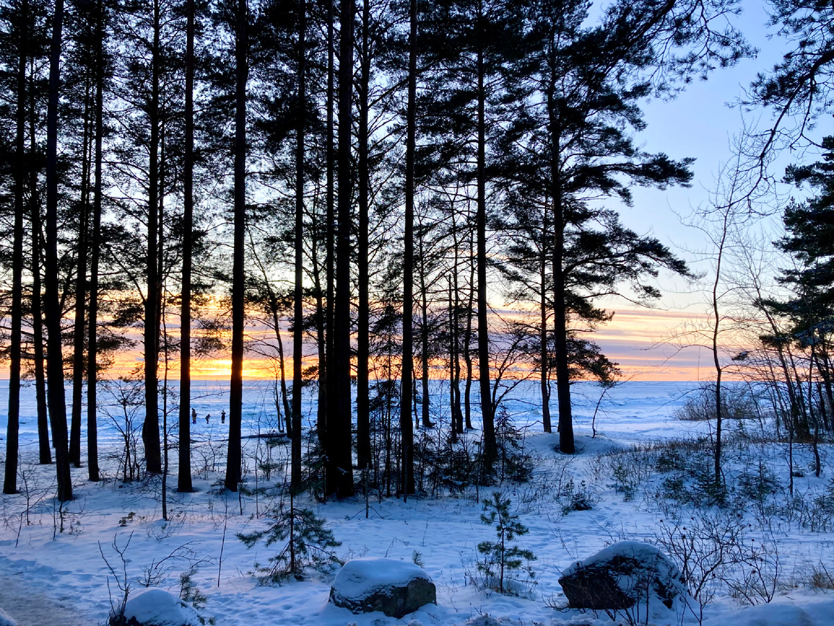 Комаровский берег. Фото автора.