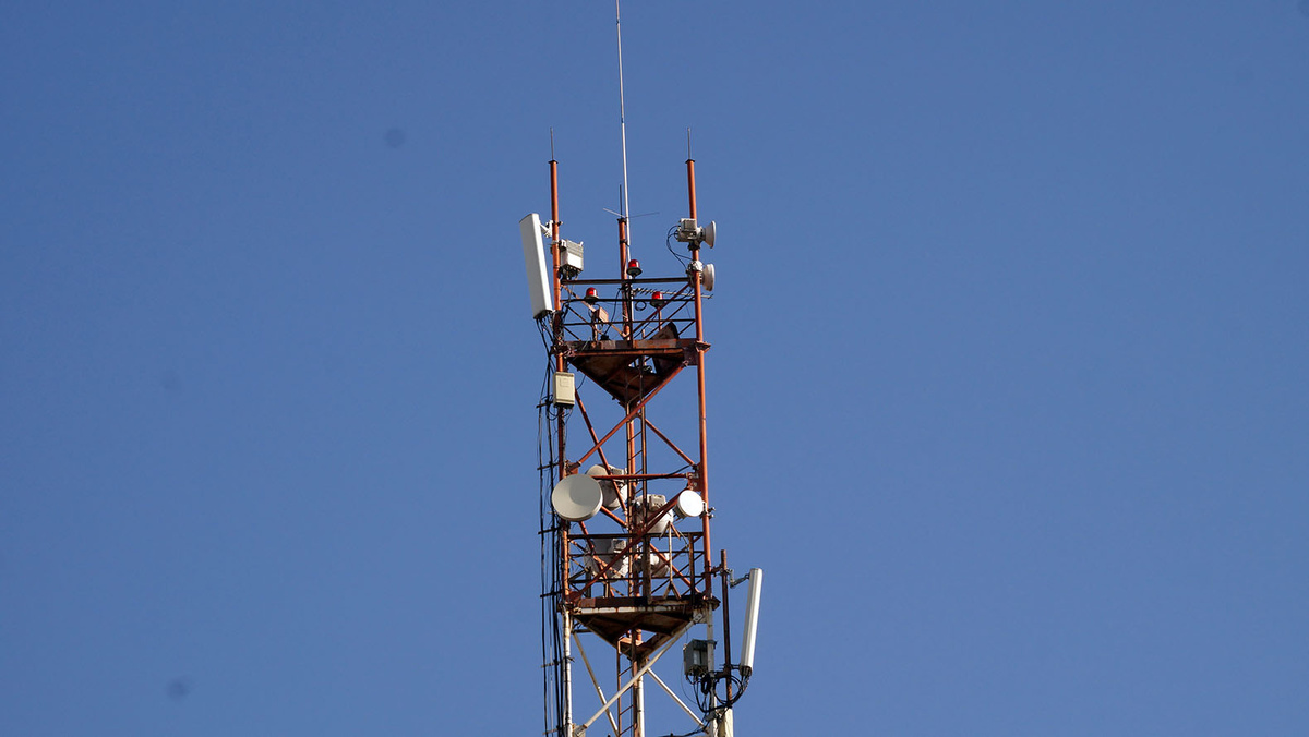    Фото: Сергей Егоров