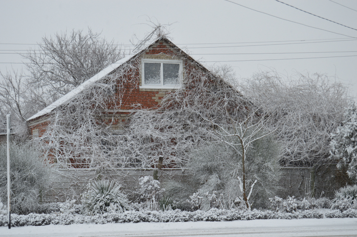 Фото автора. 12.01.2024. Такая погода было в станице в январе 2024.