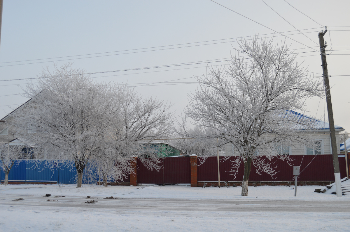 Фото автора. 12.01.2024. Станица вначале 2024 года.