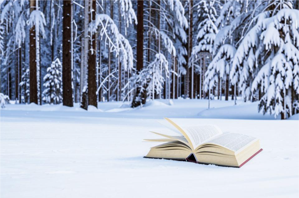 Раскрытая книга 