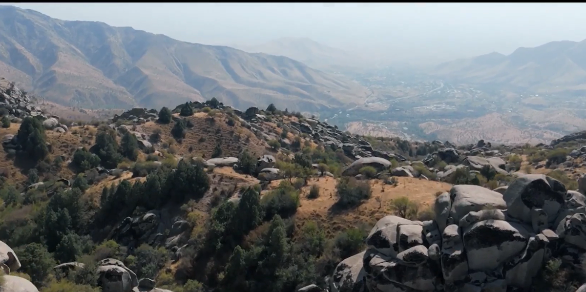 Кадр из шоу "Звезды в джунглях" 