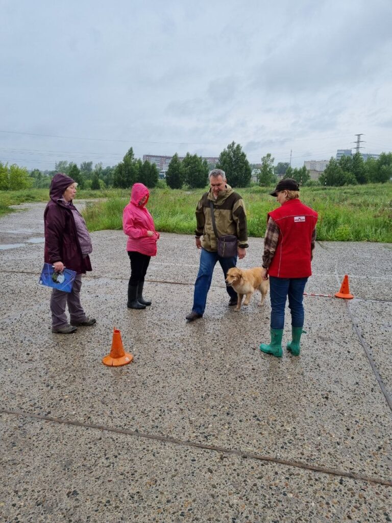 Проверка реакции на группу людей