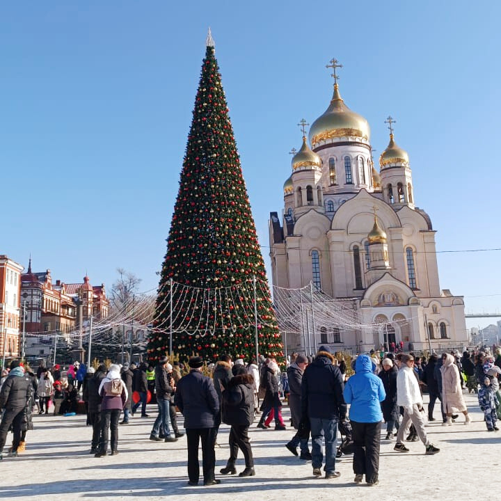 В этом году у нас вот такая зеленая красавица. Фото автора.
