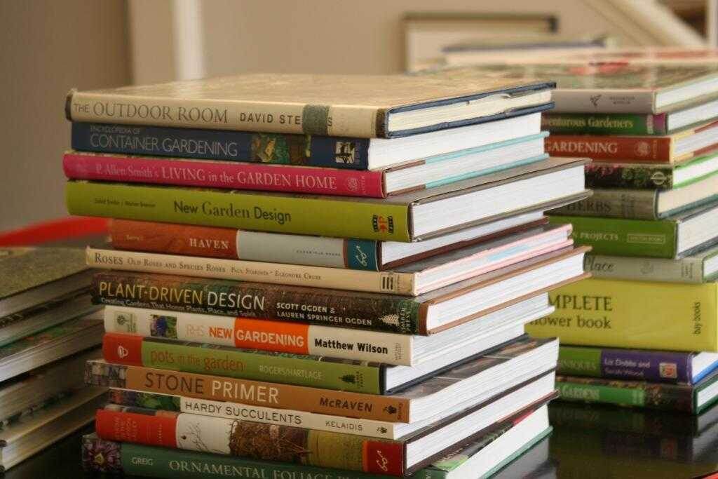 фото из интернета