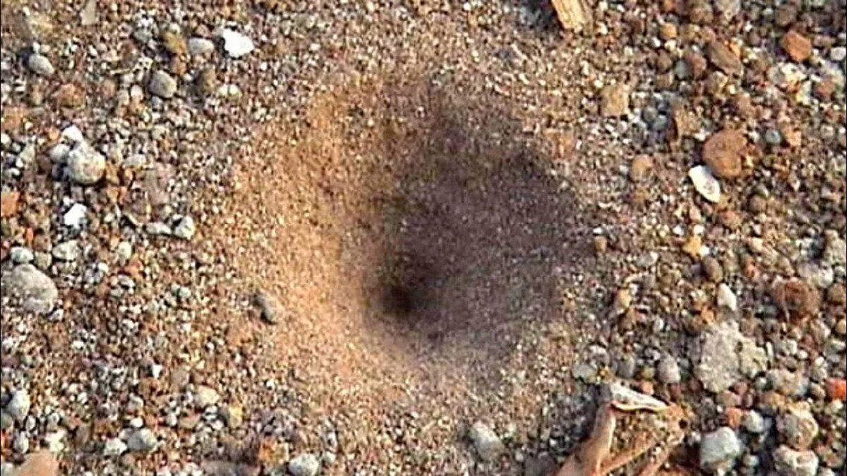 Фото из интернета