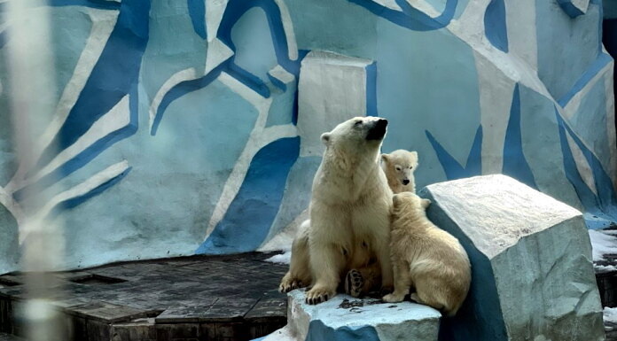    Фото Жанны Гладковой