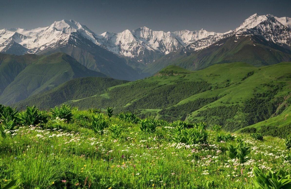 Кавказские горы фото из интернета