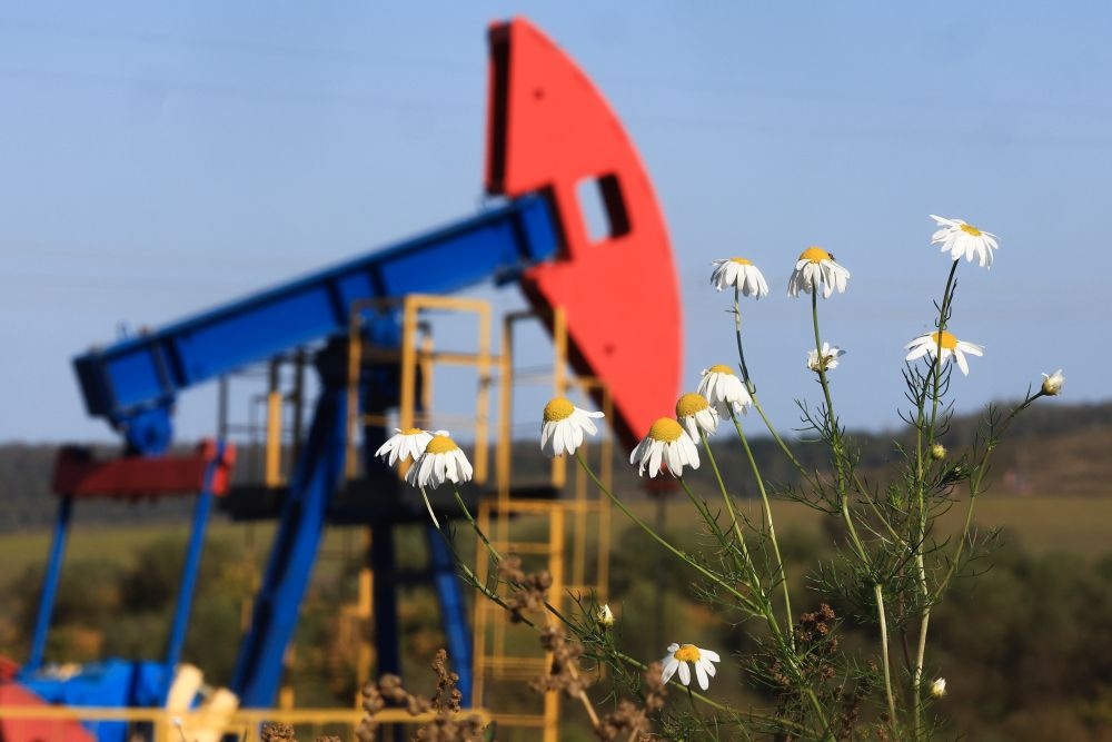    Егор Алеев/ТАСС