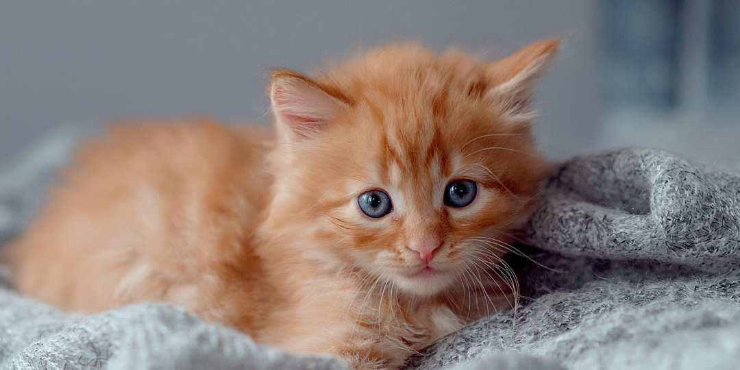 Она не должна знать