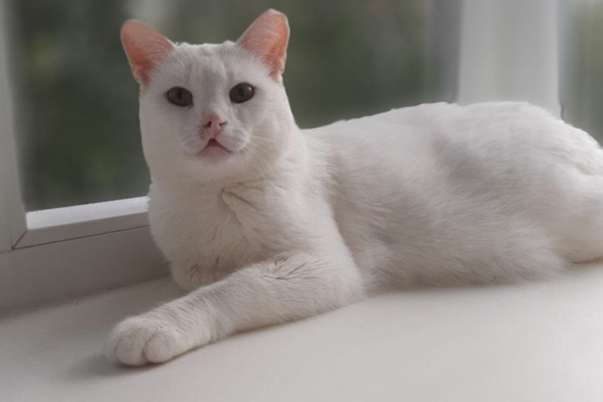 Сейчас в его жизни все отлично!