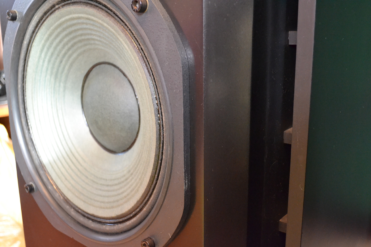 12` низкочастотный динамик в объеме более 100л уже может обеспечить полноценный бас, но в относительно небольшом помещении. 