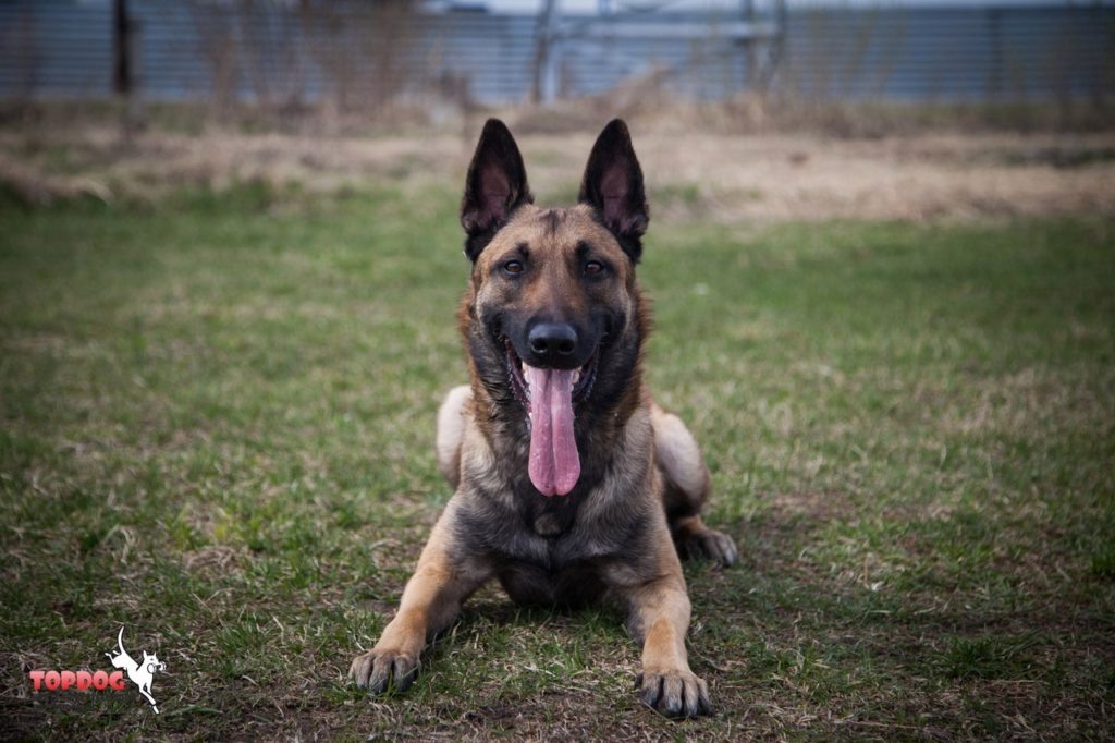 Положение "Лежать" из комплекса