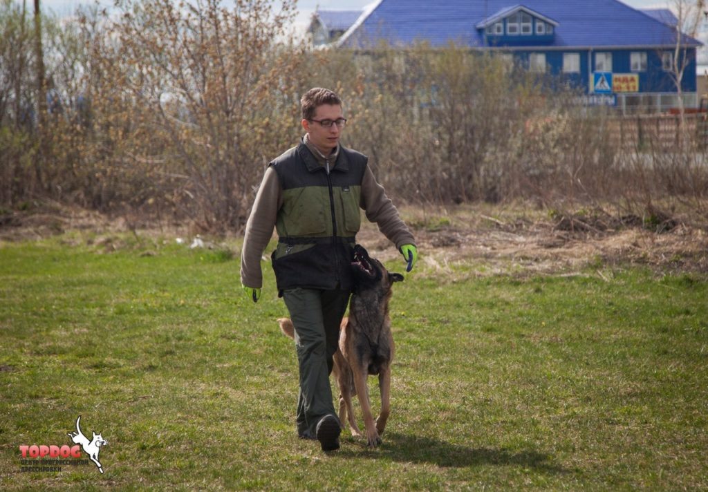 Движение рядом с проводником