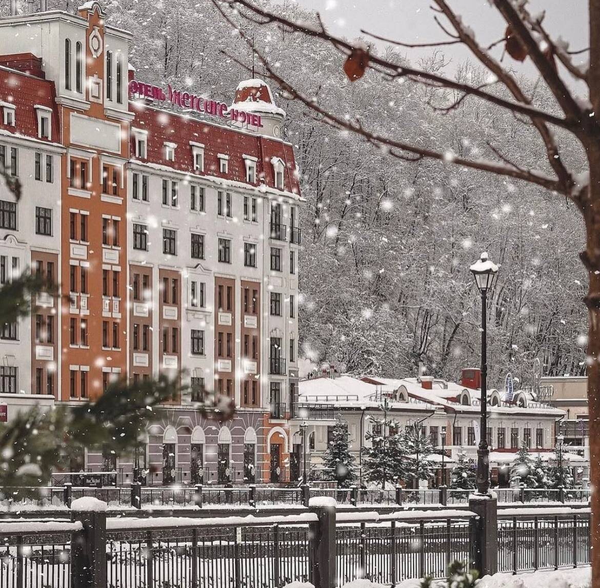 Роза  - Хутор 2024