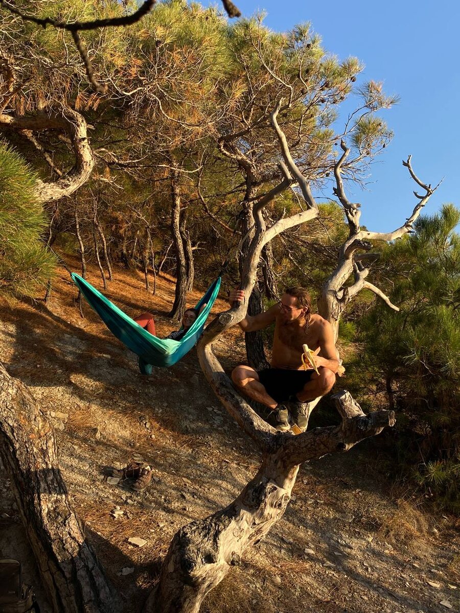 Дикий Йоз в диком лагере, октябрь 2023 г.