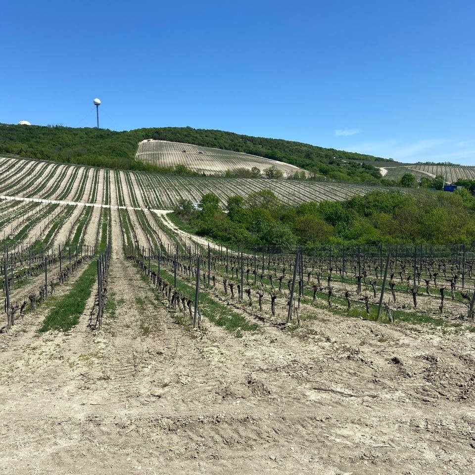 Воспоминания, апрель 2024 г.