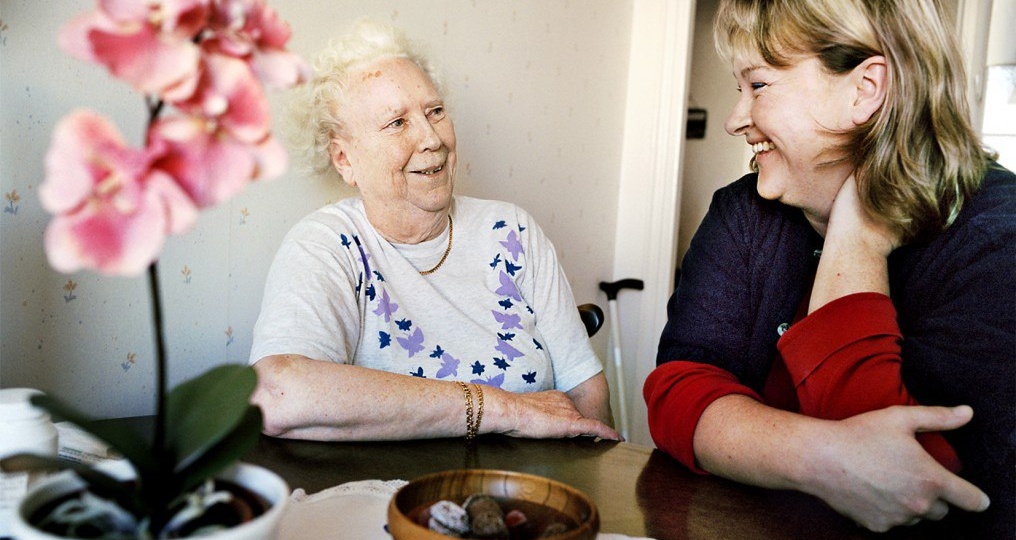 Завещание, дарственная или рента - что лучше защитит наследников от потери недвижимости и денег