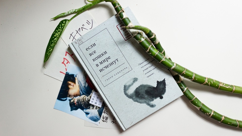 Фото из инета