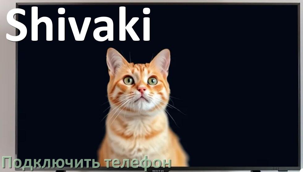 
Как к телевизору Shivaki подключить телефон через USB, Wi-Fi, Bluetooth