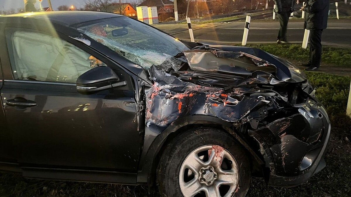    Фото: пресс-служба Южной транспортной прокуратуры