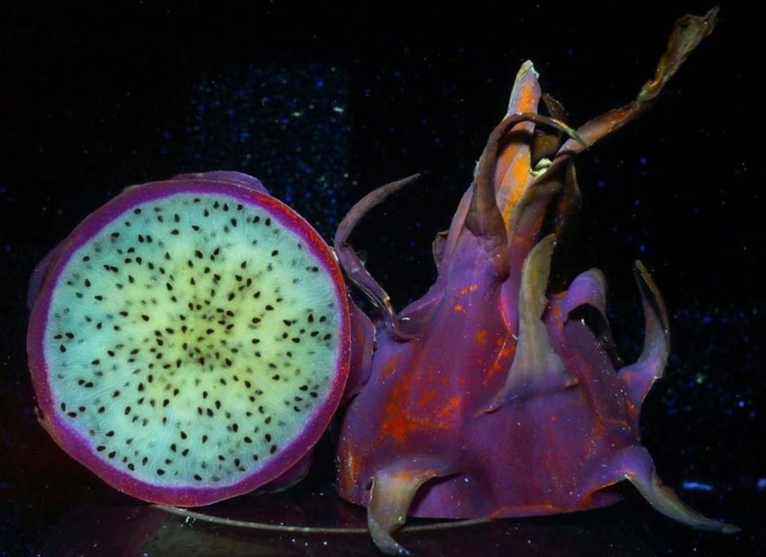 Питахайя глазами попугая