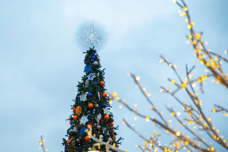    Фото: Общественная Служба Новостей Маргарита Салахова