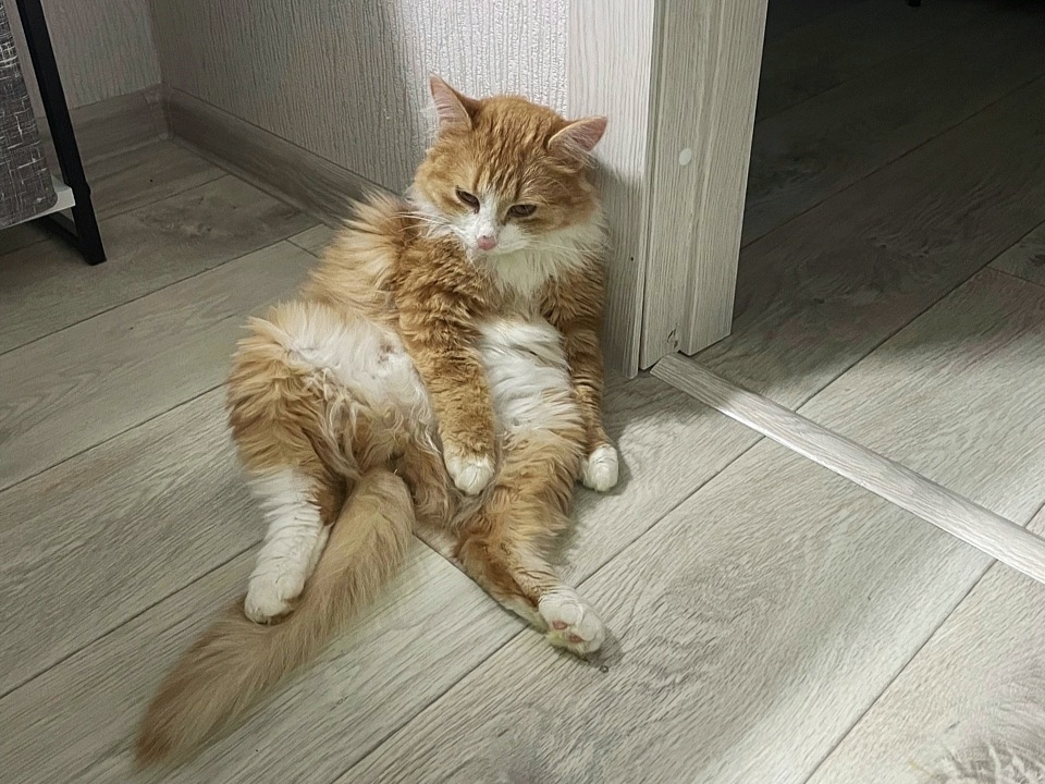 Дома можно полежать в расслабленной позе, не боясь, что обидят